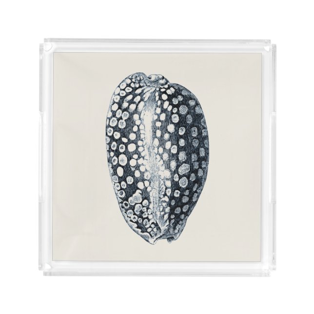 Indigo Seashell Acrylic Tray (Front)