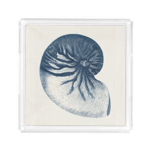 Indigo Shark Eye Seashell Acrylic Tray
