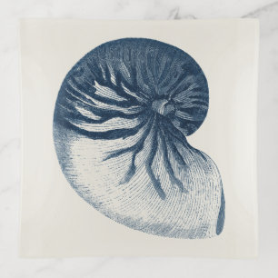 Indigo Shark Eye Seashell Trinket Tray