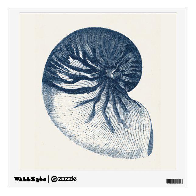 Indigo Shark Eye Seashell Wall Decal (Front)