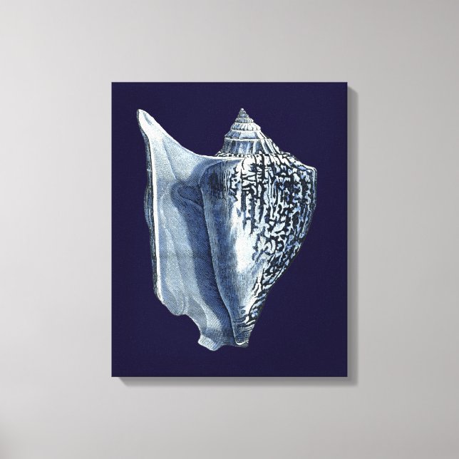 Indigo Shells I Canvas Print (Front)