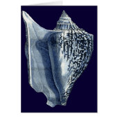 Indigo Shells I Cards (Front)