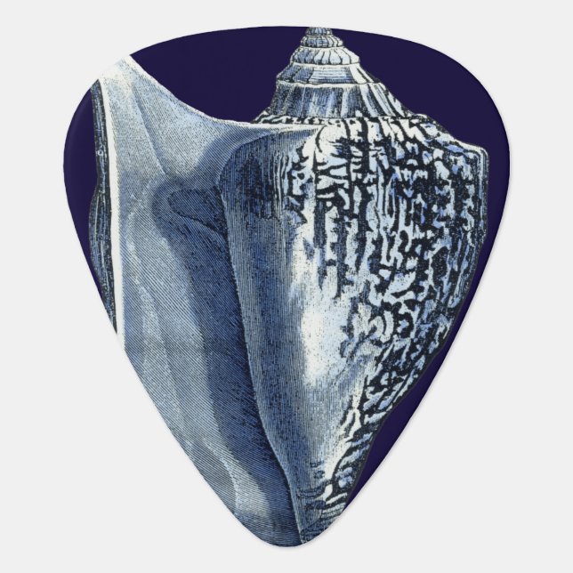 Indigo Shells I Guitar Pick (Front)