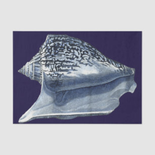 Indigo Shells I Tissue Paper