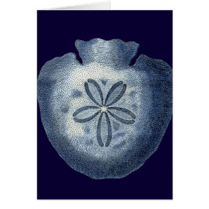Indigo Shells III Cards
