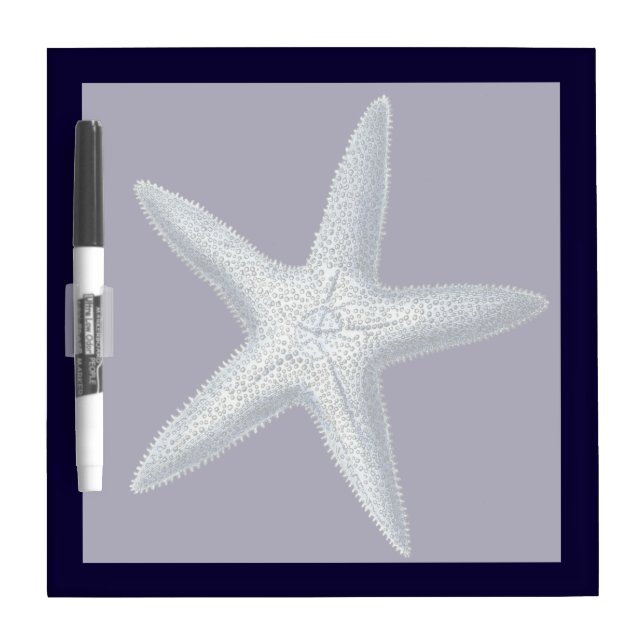Indigo Shells IV Dry Erase Board (Front)