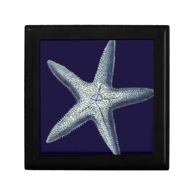 Indigo Shells IV Gift Box (Front)