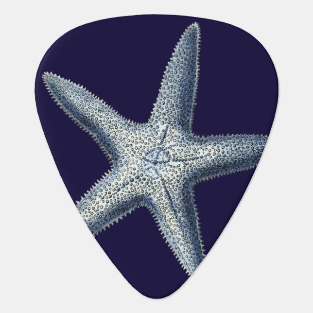 Indigo Shells IV Guitar Pick (Front)