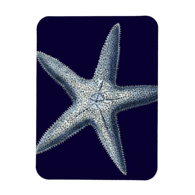 Indigo Shells IV Magnet (Vertical)