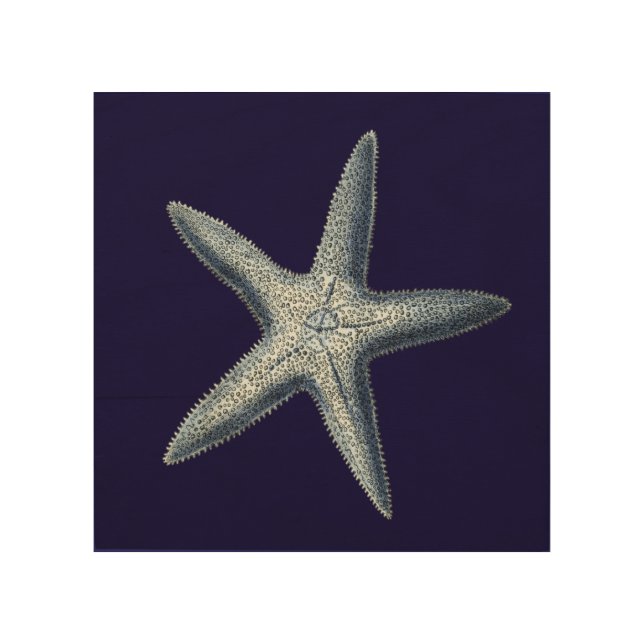 Indigo Shells IV Wood Wall Decor (Front)