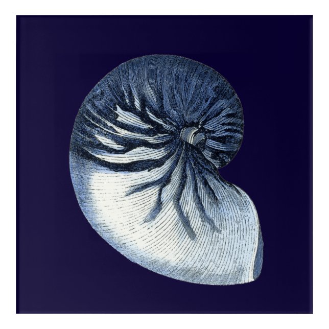 Indigo Shells VII Acrylic Print (Front)