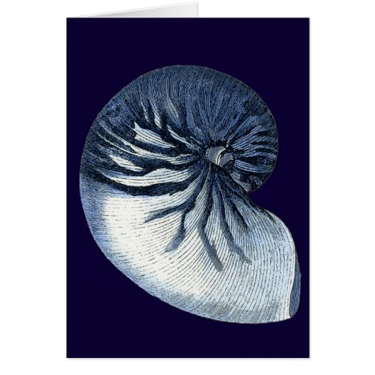 Indigo Shells VII Cards (Front)