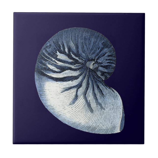 Indigo Shells VII Ceramic Tile (Front)