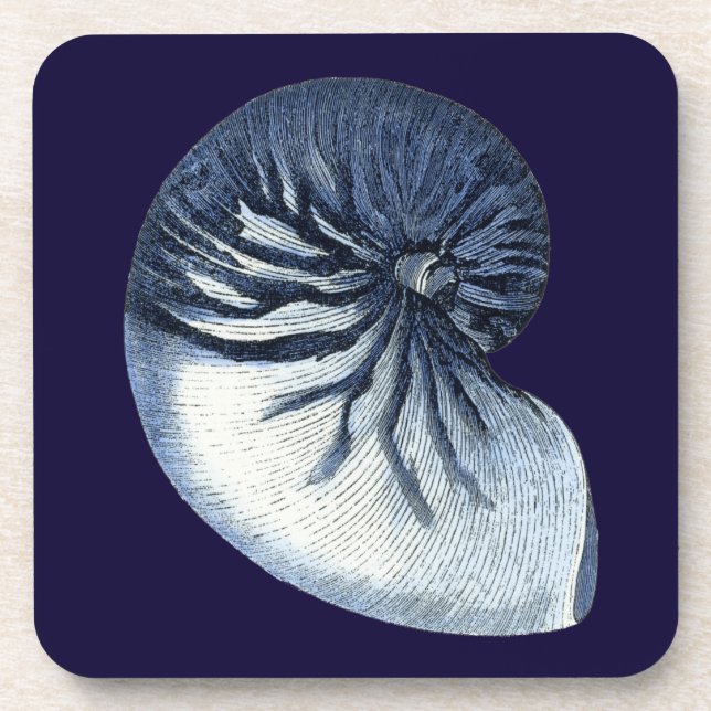Indigo Shells VII Coaster (Front)