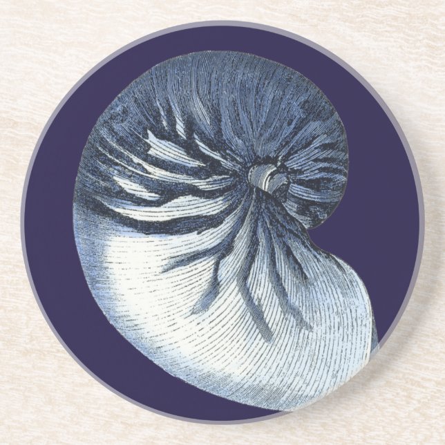 Indigo Shells VII Drink Coaster (Front)