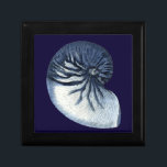 Indigo Shells VII Gift Box<br><div class="desc">Marine Life</div>
