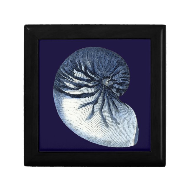 Indigo Shells VII Gift Box (Front)