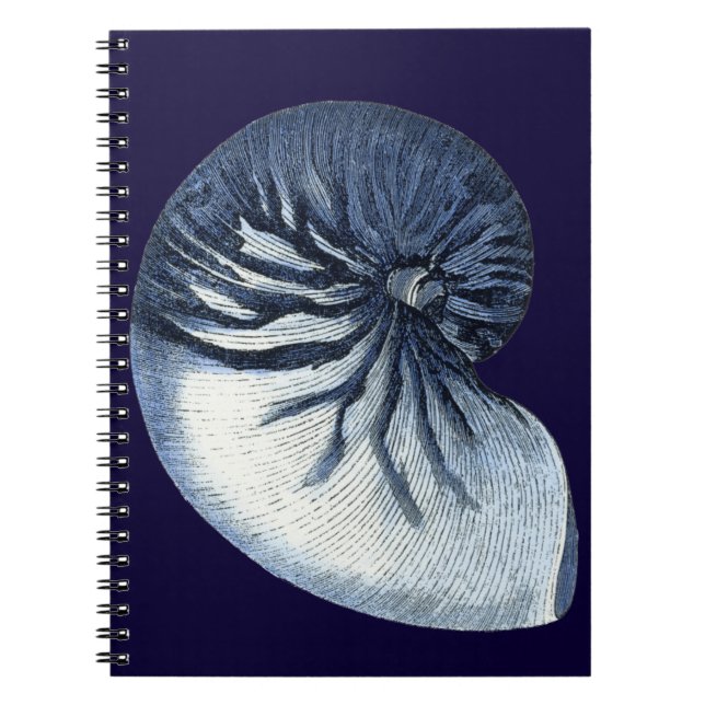 Indigo Shells VII Notebook (Front)
