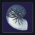 Indigo Shells VII Square Wall Clock<br><div class="desc">Marine Life</div>