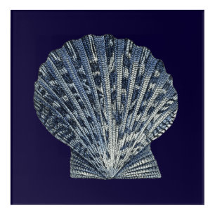 Indigo Shells VIII Acrylic Print