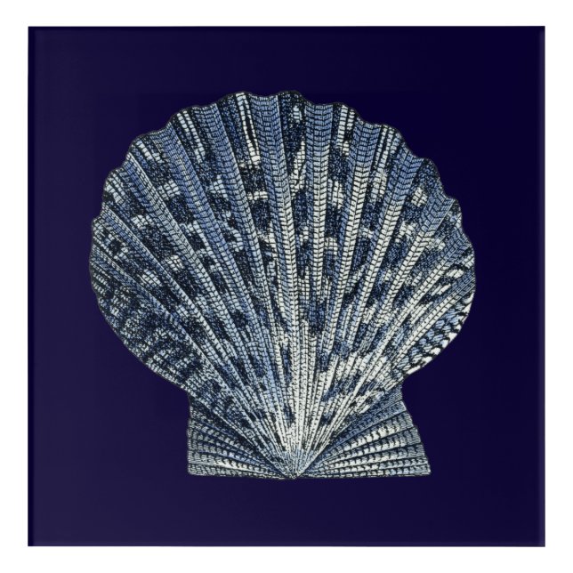 Indigo Shells VIII Acrylic Print (Front)