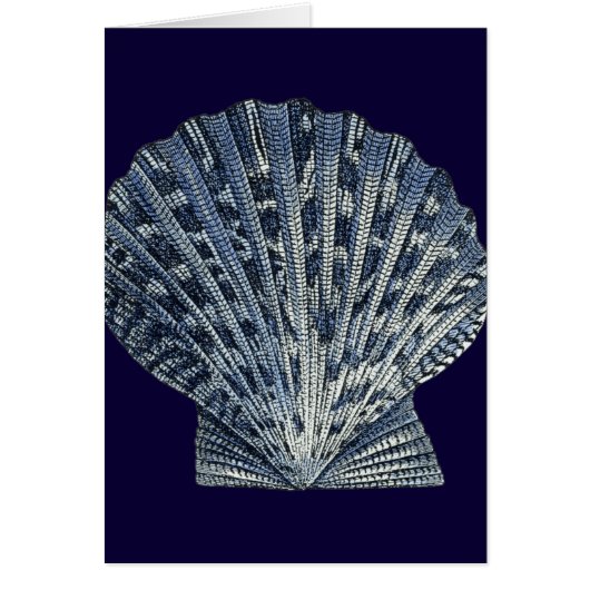 Indigo Shells VIII Cards (Front)