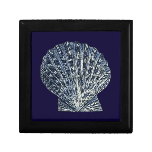 Indigo Shells VIII Keepsake Box (Front)