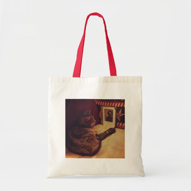 Indigo's Kindle Tote Bag (Front)