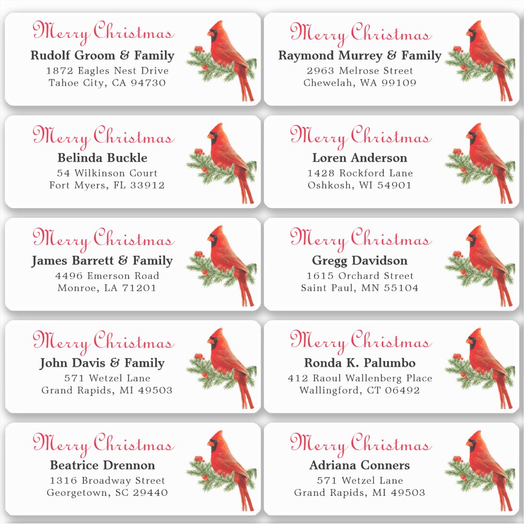 Individual Holiday Name Address Labels Sticker 