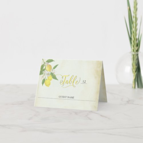 Individual Watercolor Lemon Theme Place Cards