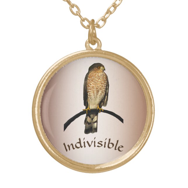 Indivisible Brown Hawk Necklace (Front)