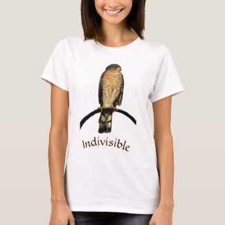 Indivisible Hawk Shirt