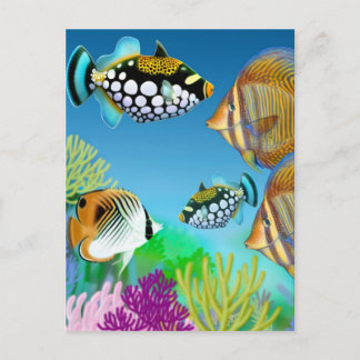 Indo Pacific Reef Fish Postcard
