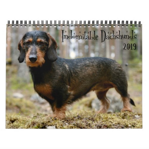 Indomitable Dachshunds Custom Year Calendar