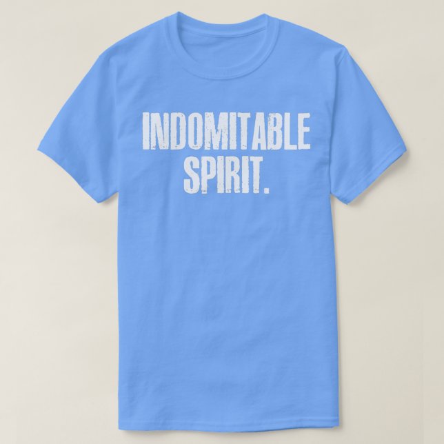 Indomitable Spirit Tang Soo Do Martial Arts 7 Tene T-Shirt (Design Front)