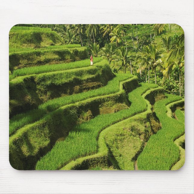 Indonesia, Bali | Rice Paddies Mouse Pad (Front)