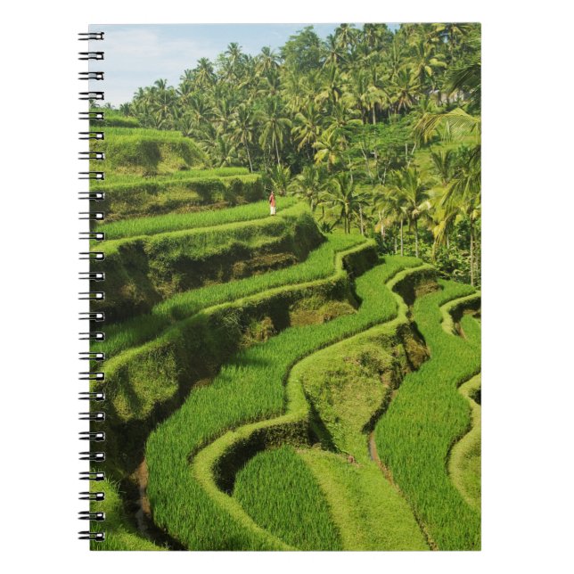 Indonesia, Bali | Rice Paddies Notebook (Front)