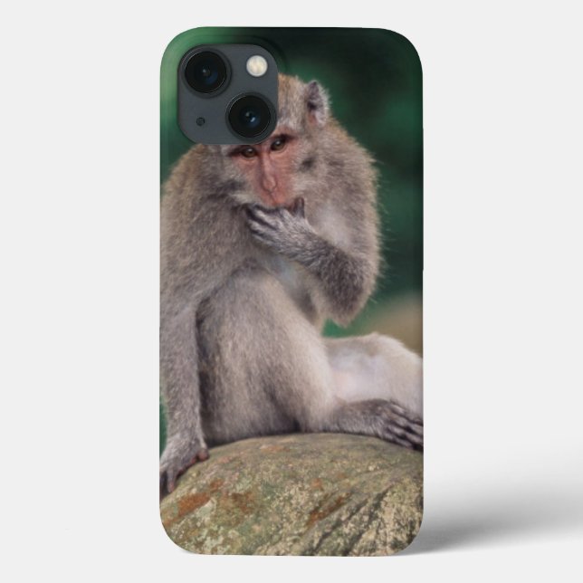 Indonesia, Bali, Ubud, Long-tailed Macaque Case-Mate iPhone Case (Back)