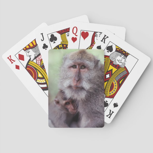 Indonesia, Bali, Ubud, Long-tailed Macaque Poker Cards (Back)