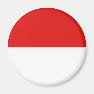 Indonesia Fisheye Flag Magnet