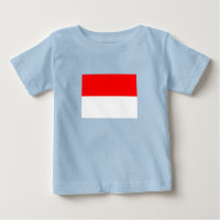 Indonesia Flag