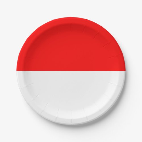 Indonesia Flag Paper Plates