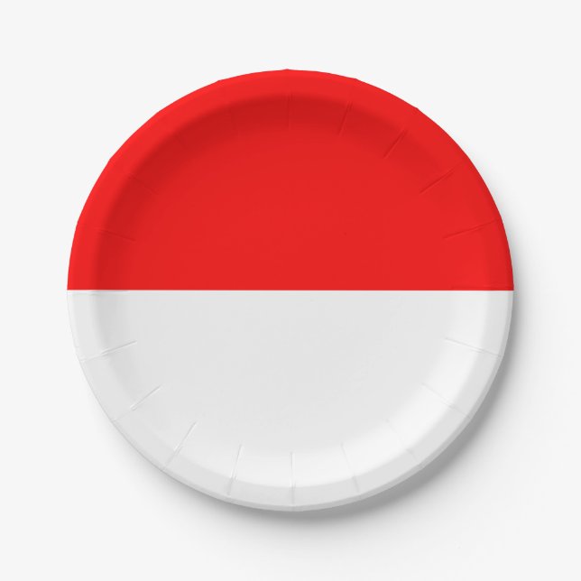 Indonesia Flag Paper Plates (Front)