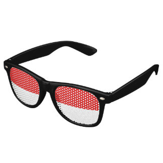 Indonesia Flag Retro Sunglasses