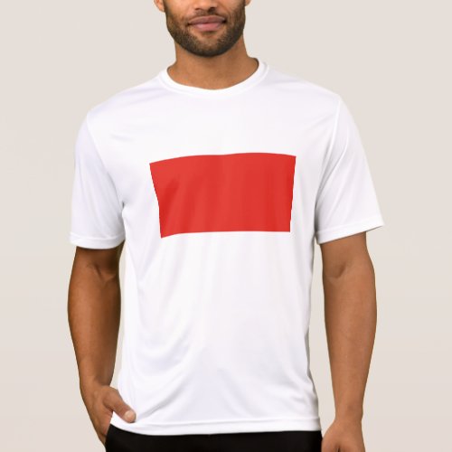 Indonesia flag T_Shirt