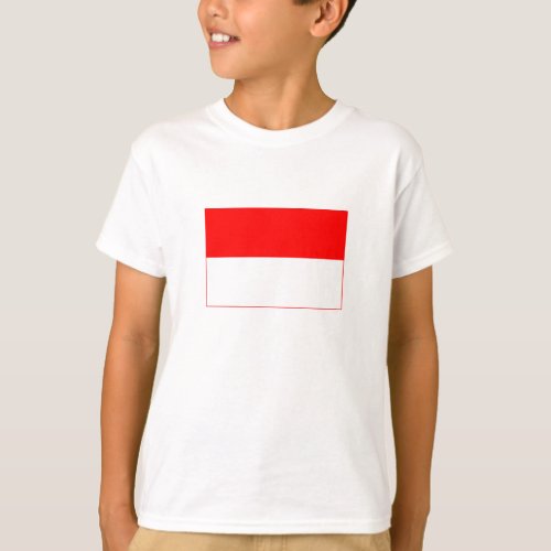 Indonesia Flag T_Shirt