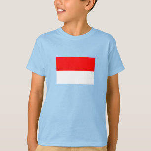 Indonesia Flag T-Shirt