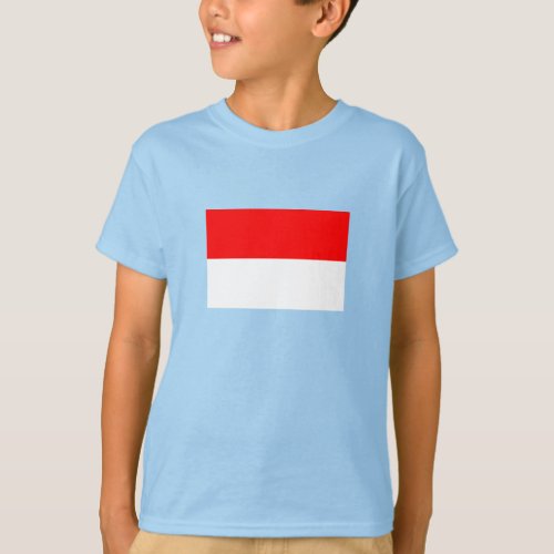 Indonesia Flag T_Shirt