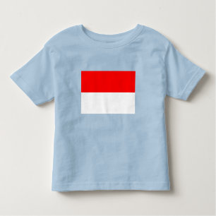 Indonesia Flag Toddler T-shirt