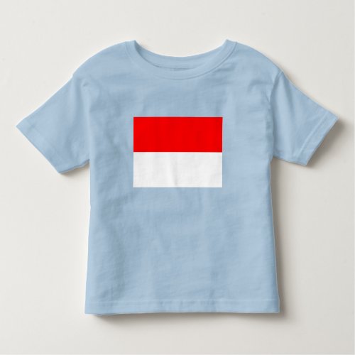 Indonesia Flag Toddler T_shirt